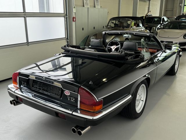 
								Jaguar XJS/2+2/ V12/ von Arden veredelt/Note 2/BRD full									