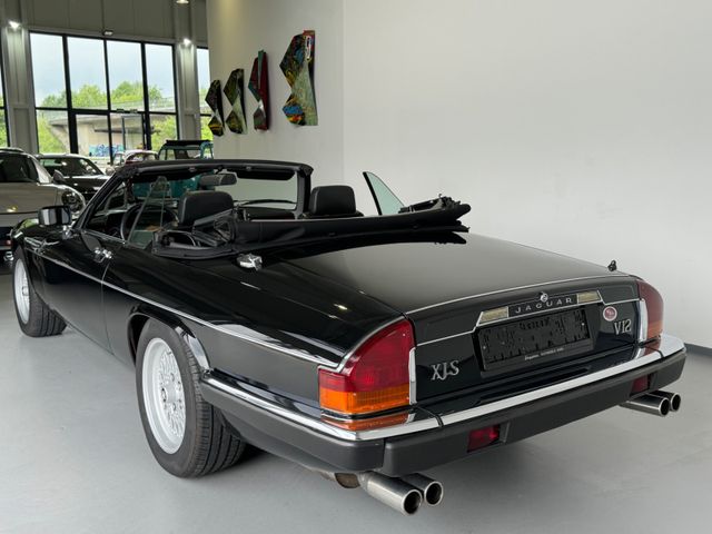 
								Jaguar XJS/2+2/ V12/ von Arden veredelt/Note 2/BRD full									