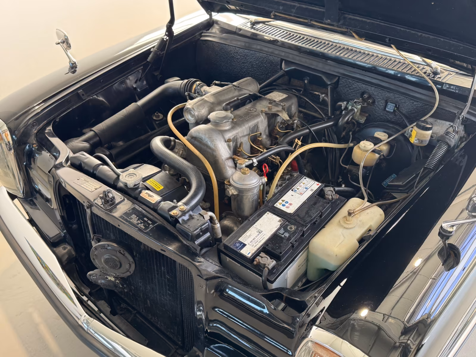 
								Mercedes-Benz 220D/8 Original Schwarz | Bordeaux full									