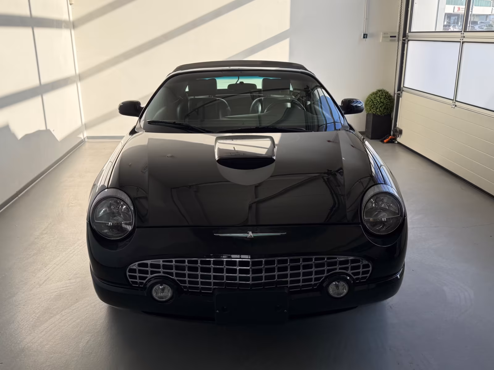 
								Ford Thunderbird full									